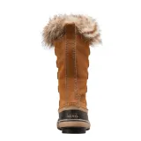 joan-of-arctic-marka-sorel