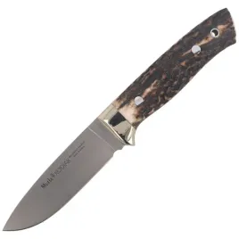 kodiakstag10a