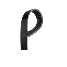 pasek-klinowy-wielorowkowy-grand-vitara-1-9-ddis-dayco-7pk2000day