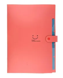 teczki-do-organizacji-a4-beniamin-6szt