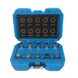 zestaw-narzedzi-do-wypinania-brilliant-tools-bt691310-zabezpieczenia-srub