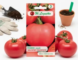 w-legutko-nasiona-smaczny-pomidor-gruntowy-rozowy-malinowy-ozarowski-wysoki