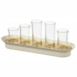 zestaw-do-ukorzeniania-roslin-szklo-bezbarwne-kosci-sloniowej-ikea