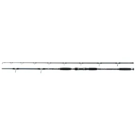 wedka-jaxon-eclatis-cat-fish-255m-up-to-500g