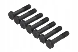 schaeffler-luk-411-0232-10-zestaw-srub-kolo-zamachowe