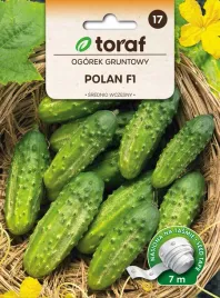 nasiona-warzyw-na-tasmie-ogorek-gruntowy-polan-f1-7m-toraf-276