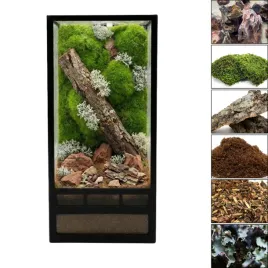 nanoterrarium-starter-kit-10x10x20cm-zestaw-hodowlany-dla-pajakow-i-owado