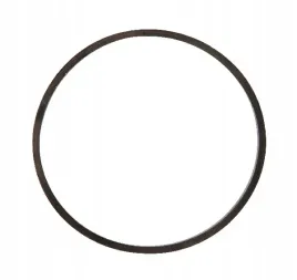 uszczelniacz-komory-plywaka-briggs-and-stratton-czesc-oryginalna