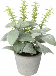 hollyone-sztuczna-roslina-ziolowa-25-cm-w-doniczce-cementowej