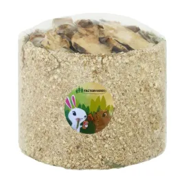 factoryherbs-wege-box-tunel-cykoria-dla-krolikow-i-gryzoni