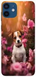 etui-case-do-apple-iphone-12-pro-kotki-pieski-slodziaki