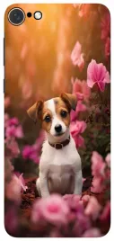 etui-case-do-apple-iphone-8-kotki-pieski-slodziaki