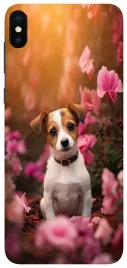 etui-case-do-apple-iphone-xs-kotki-pieski-slodziaki