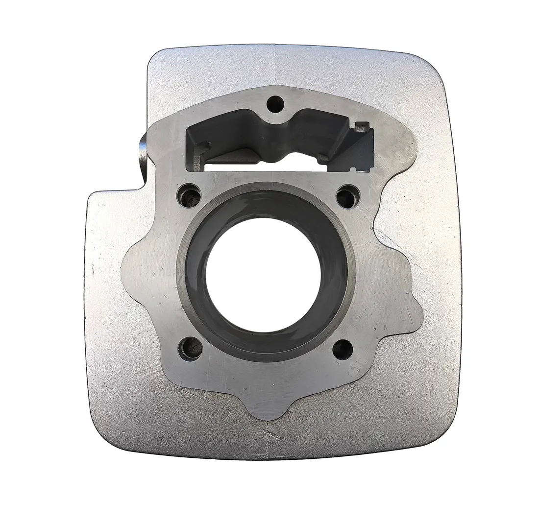cylinder-cb250cc-kpl-zs-169fmm-69mm