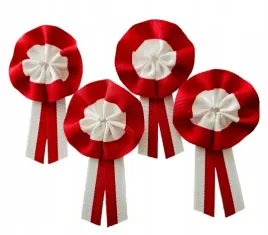 kotyliony-narodowe-rozetka-2-patriotyczne-11-listopada-przypinki-4-szt