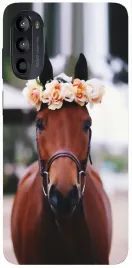 etui-case-do-motorola-moto-g52-wybor-wzorow-hobby-konie-horse-kon