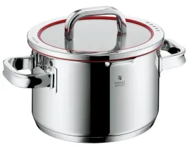 garnek-34-l-z-pokrywka-function-4-wmf