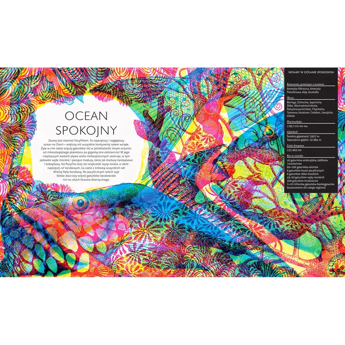 gabinet-oceanow-stan-nowy