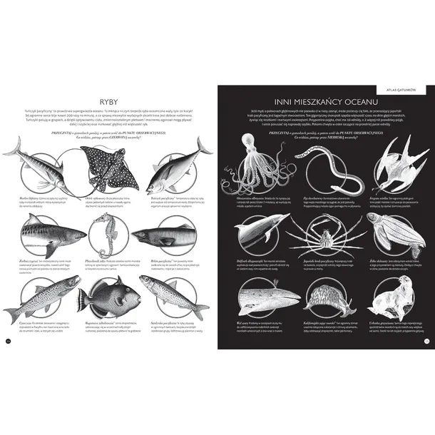 gabinet-oceanow-autor-barbara-taylor