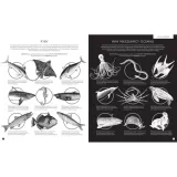 gabinet-oceanow-autor-barbara-taylor