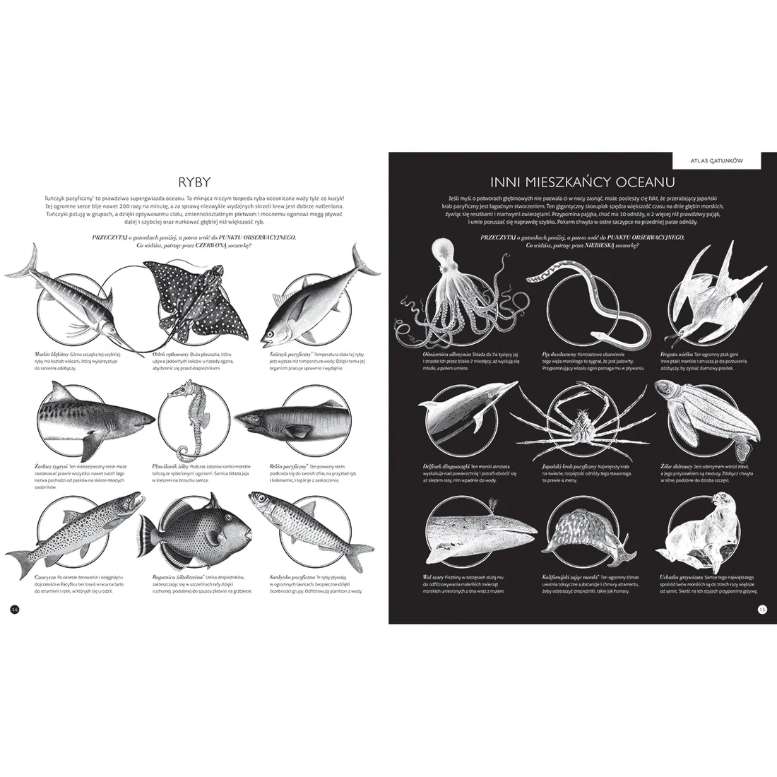 gabinet-oceanow-stan-nowy