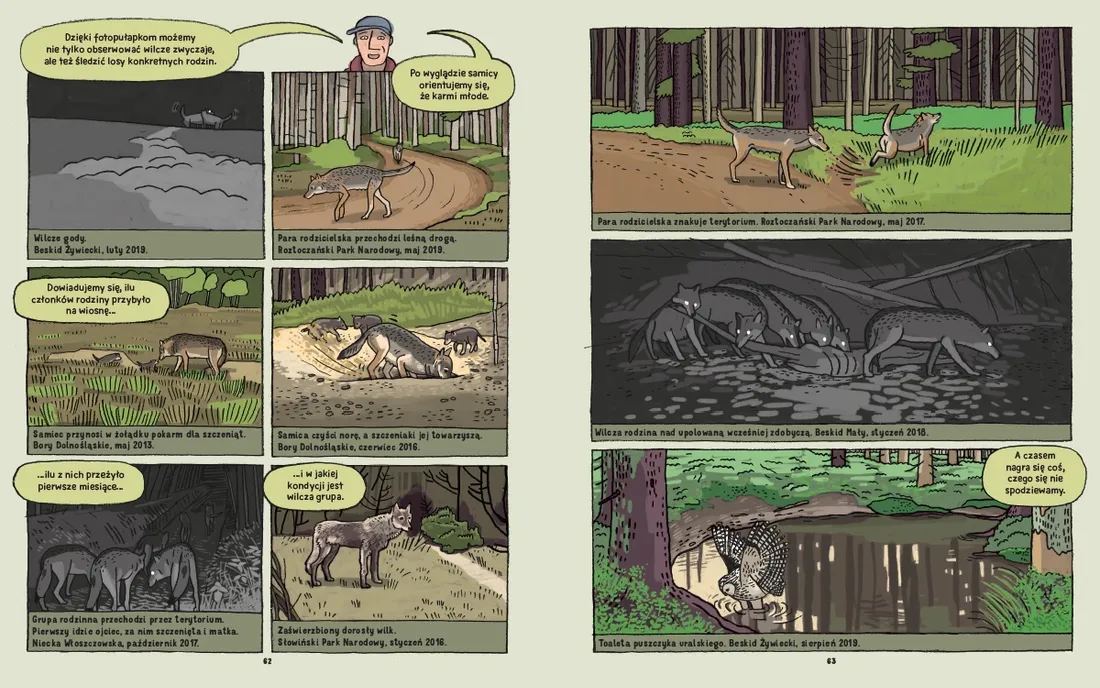 wilki-historie-prawdziwe-stan-nowy