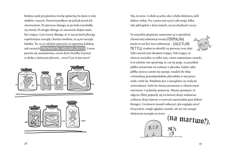 glutologia-szerokosc-produktu-16-3-cm