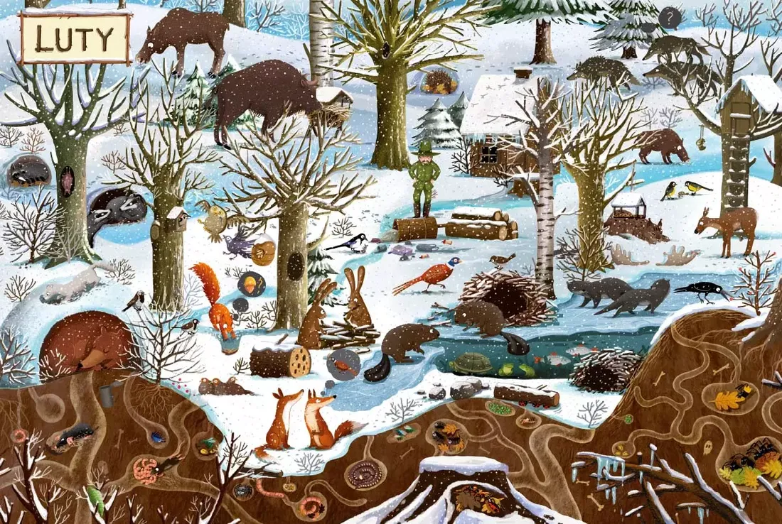 rok-w-lesie-stan-nowy