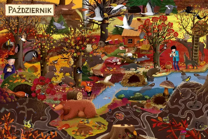 rok-w-lesie-okladka-inna