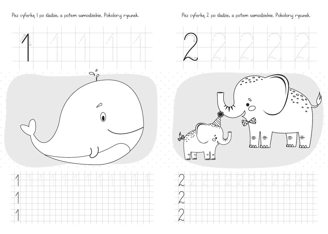 moje-cyferki-stan-nowy