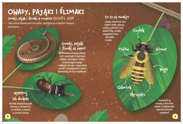 swiat-robali-okladka-inna