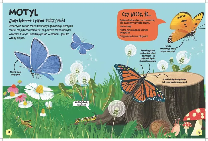 swiat-robali-autor-emily-kington-dusan-lakicevic