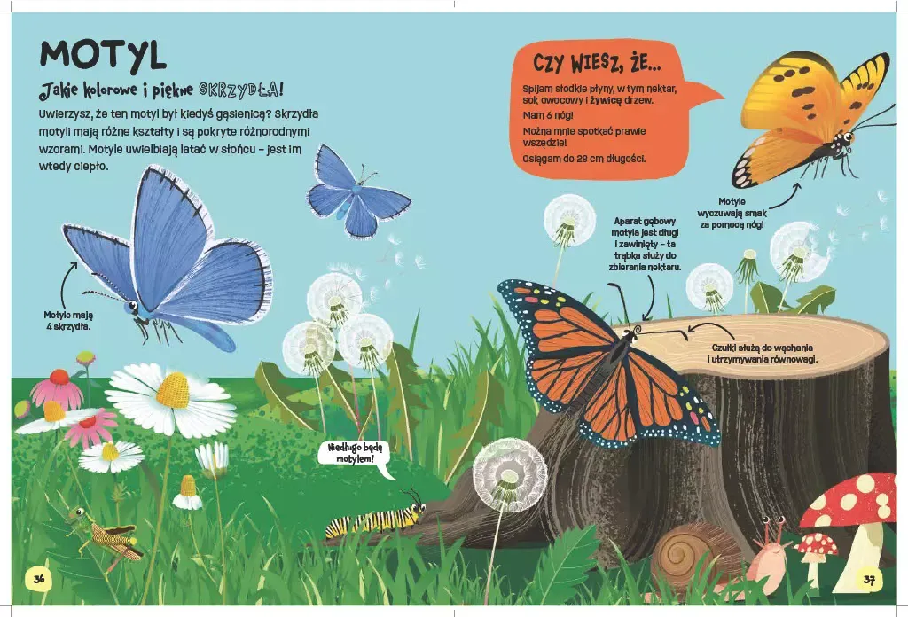 swiat-robali-stan-nowy