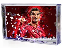 akwarium-ramka-wodna-3d-cristiano-ronaldo-producent