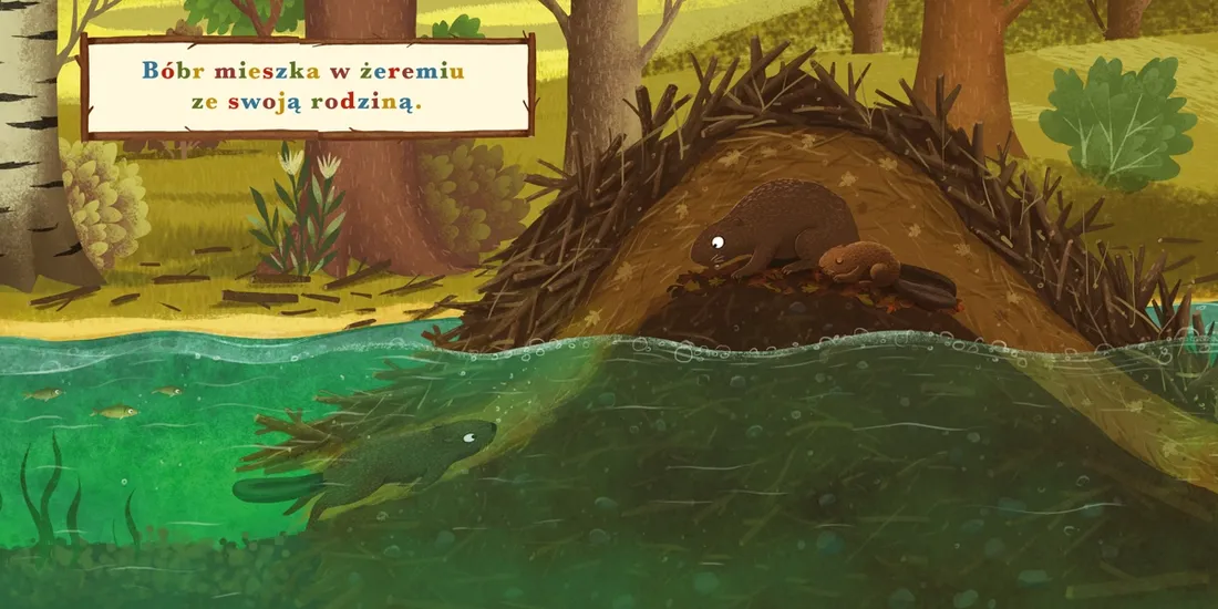 rok-w-lesie-bobr-stan-nowy
