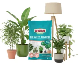 podloze-ziemia-do-monstery-syngonium-epipremnum-szeflery-calathea-bananowca