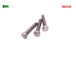 m6x30-sruba-din-84-iso-1207-tytanowa-z-lbem-walcowym-plaskim-sruby-tytanowe