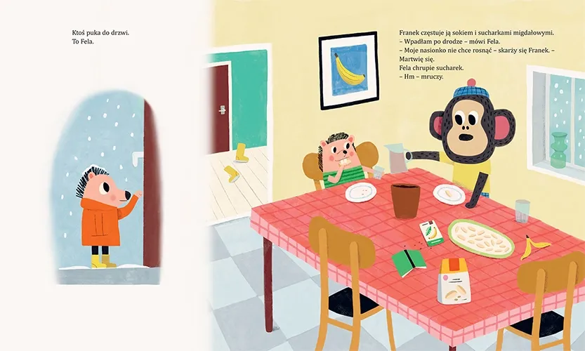 franek-ma-zyczenie-stan-nowy