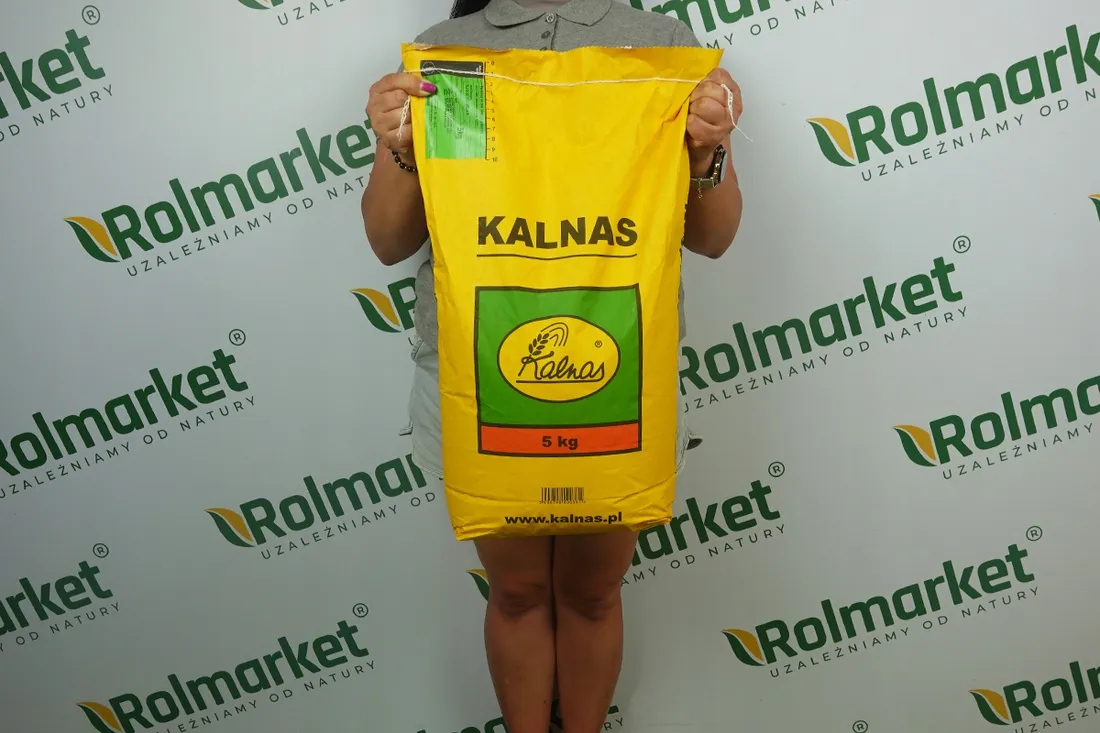 trawa-renowacyjna-5kg-kalnas-reno-regenerujaca-ubytki-do-trawnika