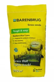 trawa-barenbrug-resilient-blue-5kg-na-upaly-susze-tereny-naslonecznione