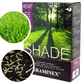 trawa-parkowa-1kg-graminex-shade-dekoracyjna-na-tereny-zacienione-do-cienia