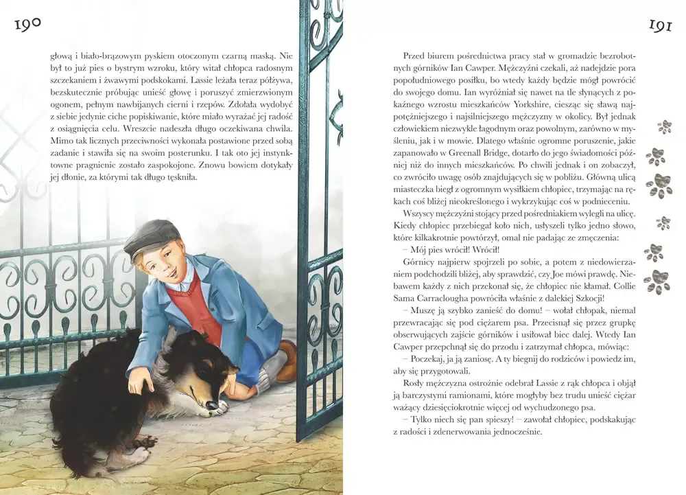 lassie-wroc-stan-nowy