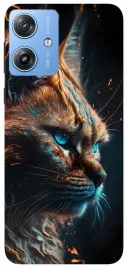 etui-case-do-motorola-moto-g55-wilki-dzikie-psy-tygrysy