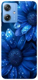 etui-case-do-motorola-moto-g55-liscie-ogrody-zielen
