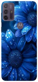 etui-case-do-motorola-moto-g10-g20-g30-liscie-ogrody-zielen
