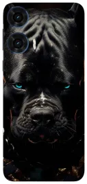 etui-case-do-motorola-edge-50-fusion-wilki-dzikie-psy-tygrysy