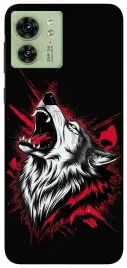 etui-case-do-motorola-edge-40-wilki-dzikie-psy-tygrysy