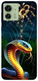 etui-case-do-motorola-edge-40-weze-skorpiony-pajaki