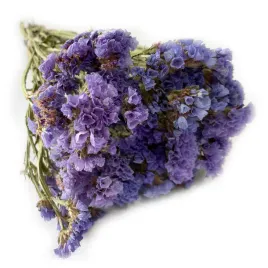 zatrwian-wrebny-limonium-or-niebieski-or-70-g