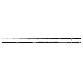 wedka-jaxon-zaffira-catfish-rt-270m-up-to-550g